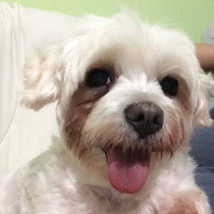 Meet your Posher, Bao chi